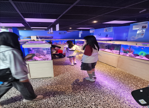 b3c6d3e8a4354b3f04a6ad8831671aec_1790048193_257.png